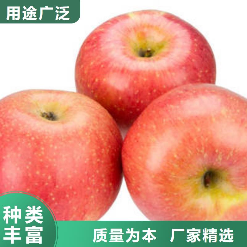 紅富士蘋果_蘋果批發敢與同行比質量