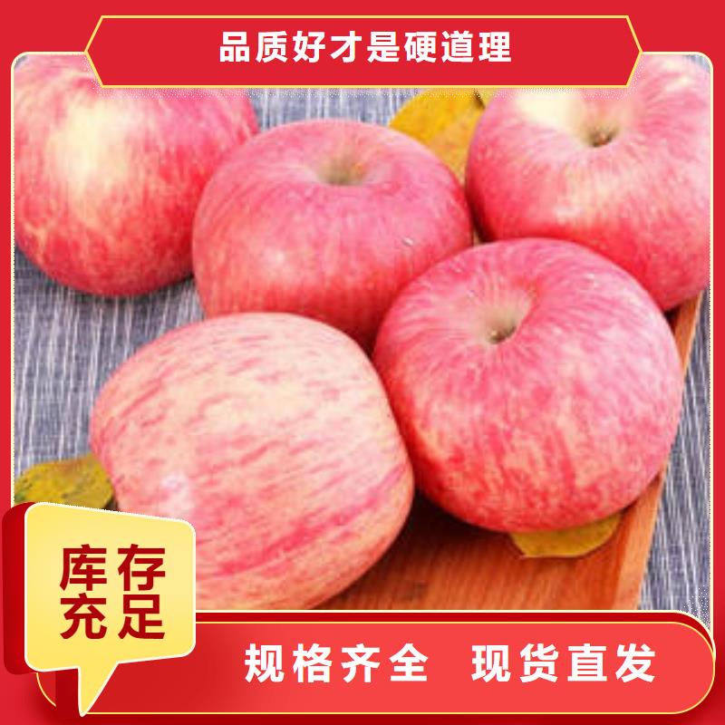 优选《景才》红富士苹果苹果 品质优选