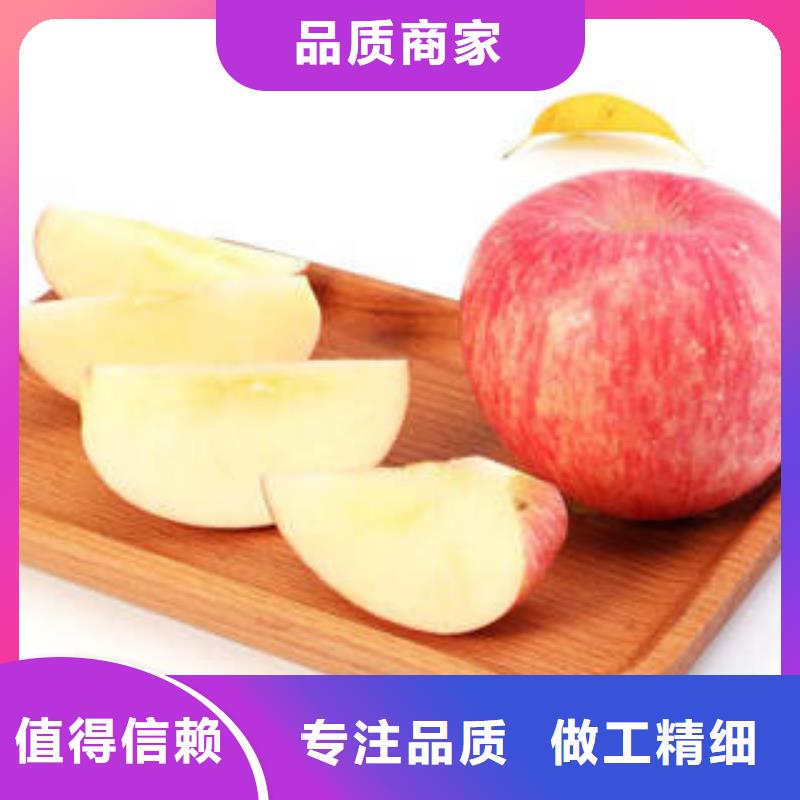 红富士苹果-苹果种植基地常年供应