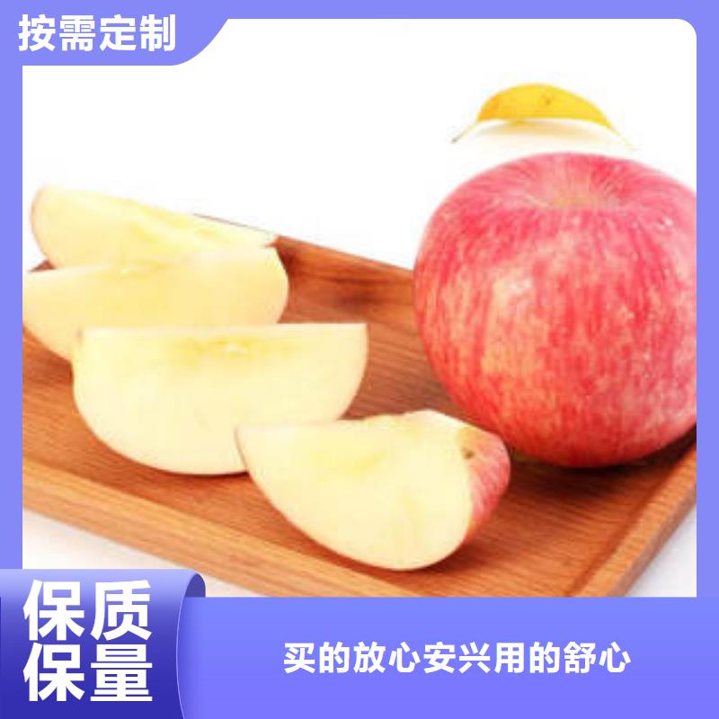 【红富士苹果】红富士苹果批发检验发货