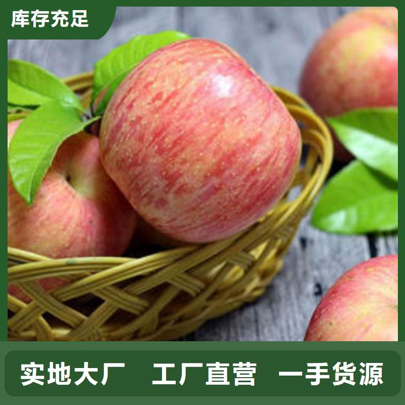【红富士苹果】红富士苹果批发检验发货