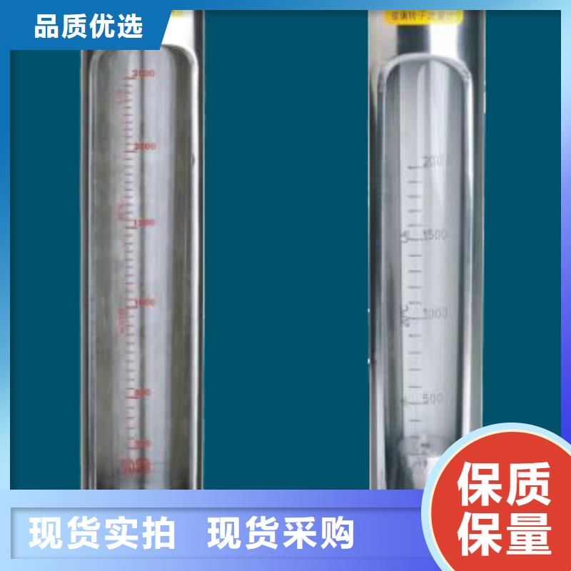 G10浮子流量計品種全