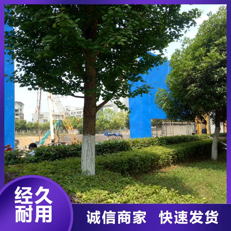 廣告素材好品質選我們