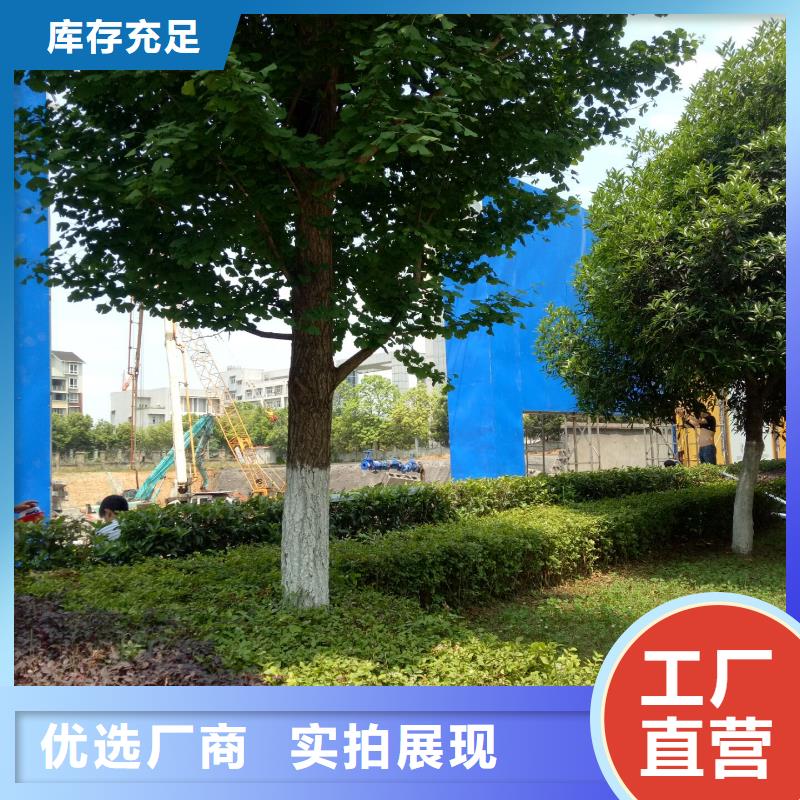 廣告素材技術先進