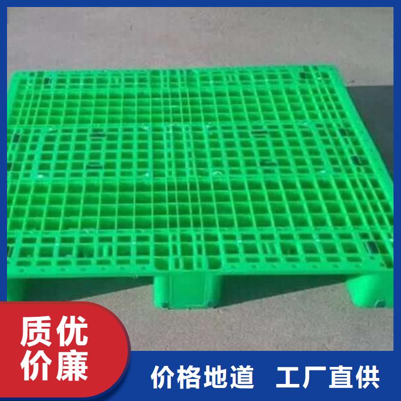 塑料托盤塑料托盤廠家聯(lián)系廠家