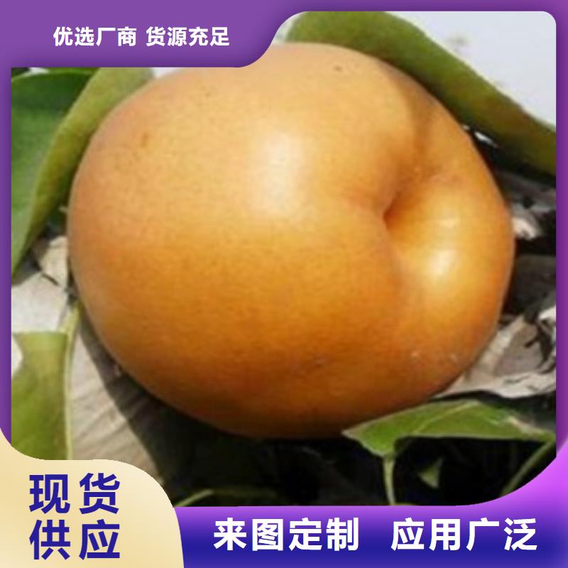【梨樹苗蘋果苗自營品質有保障】