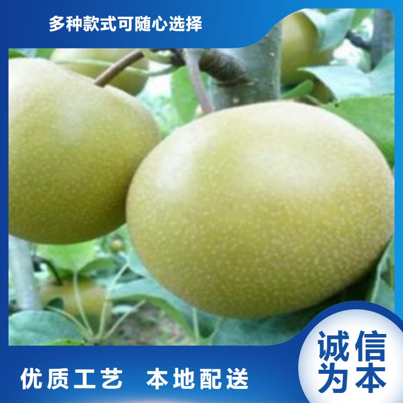 梨樹苗藍莓苗一個起售