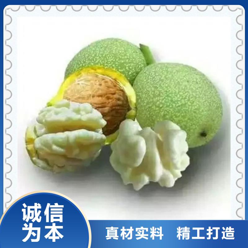 核桃苗藍莓苗可定制有保障