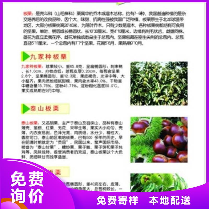 板栗苗花椒苗優良材質