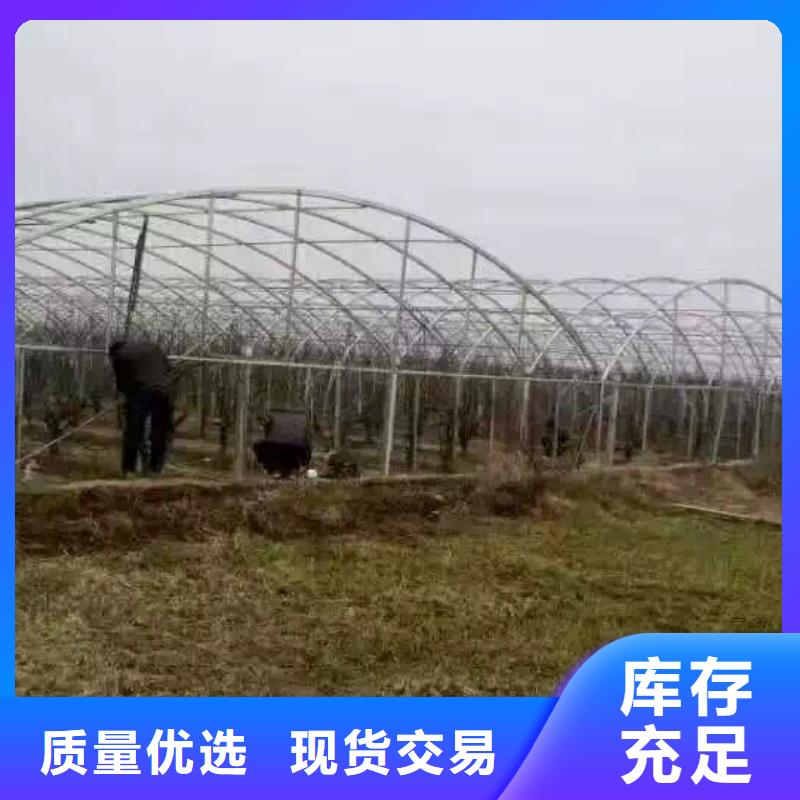 管材,熱鍍鋅C型鋼常年供應