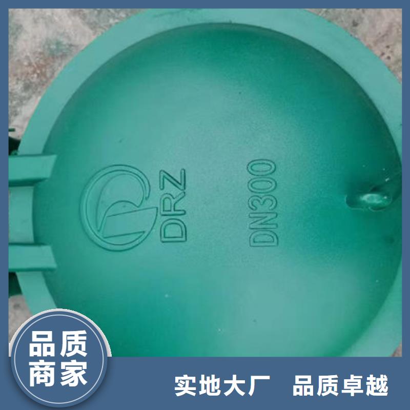 拍門_球墨鑄鐵拍門好廠家有擔當