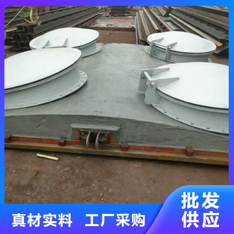 拍門圓拍門源頭廠家量大價優(yōu)