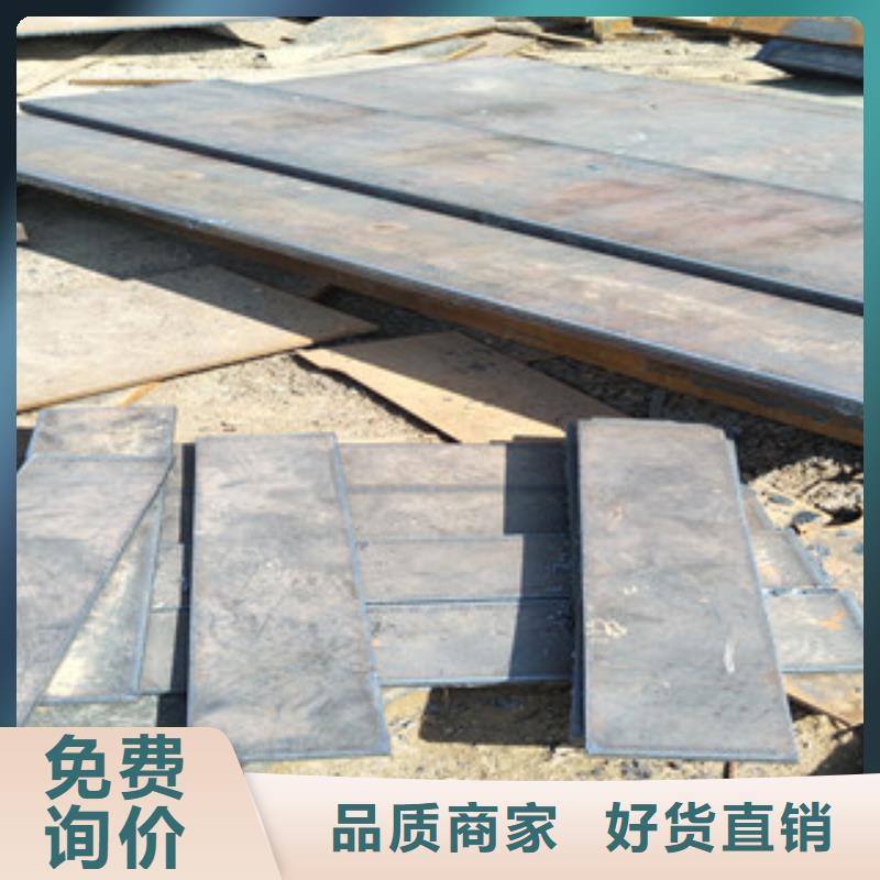 多年行业积累(瑞吉尔)钢板-进口耐磨钢板产地直供