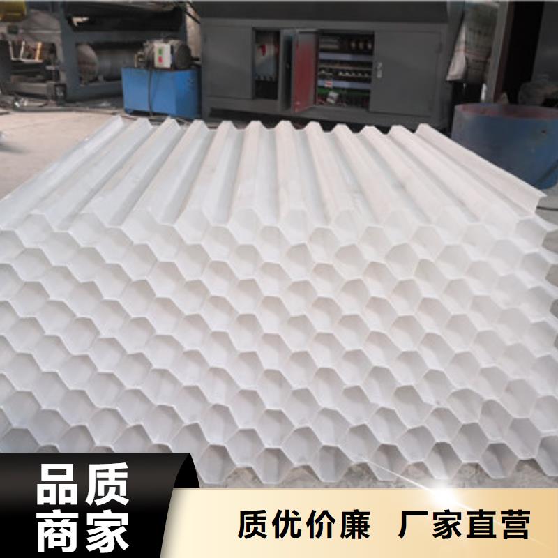 蜂窩斜管-多面空心球專業設計