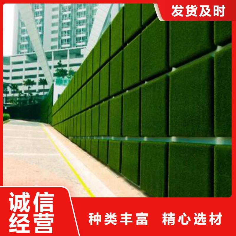 圍擋草坪,人造草坪圍擋海量現貨