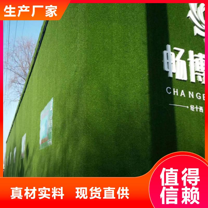 圍擋草坪現貨直發