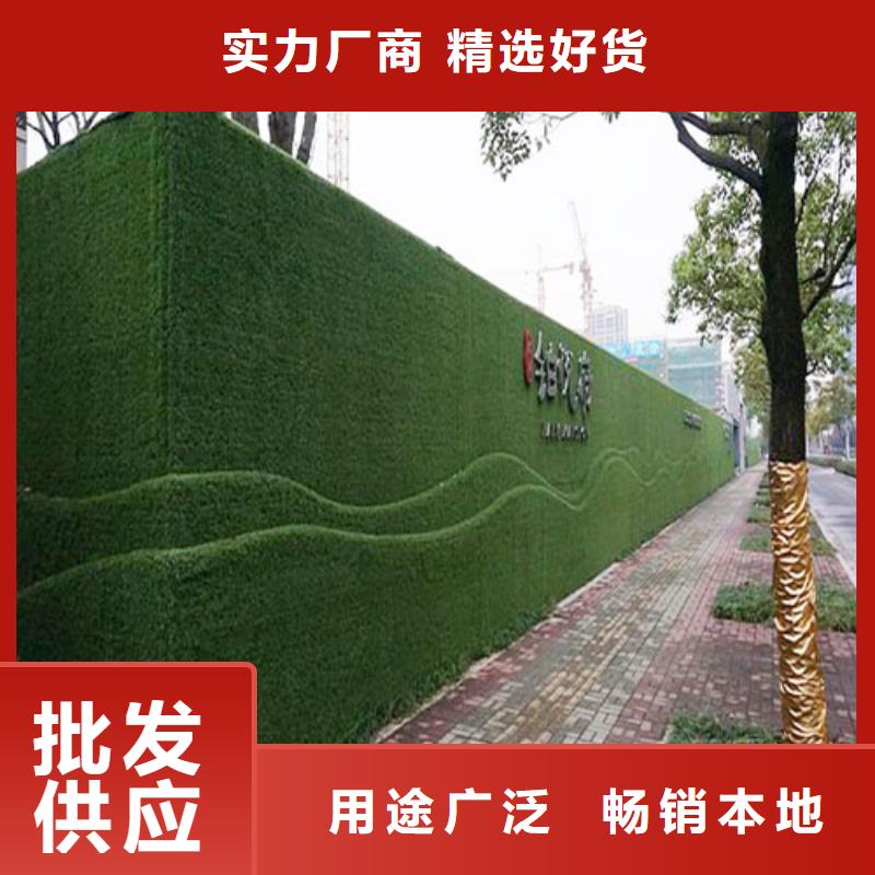 工地人造草皮围挡墙多少钱一平米（直销【博翔远】）品种繁多