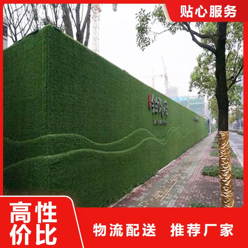 五华围墙防真绿草皮可订做密度