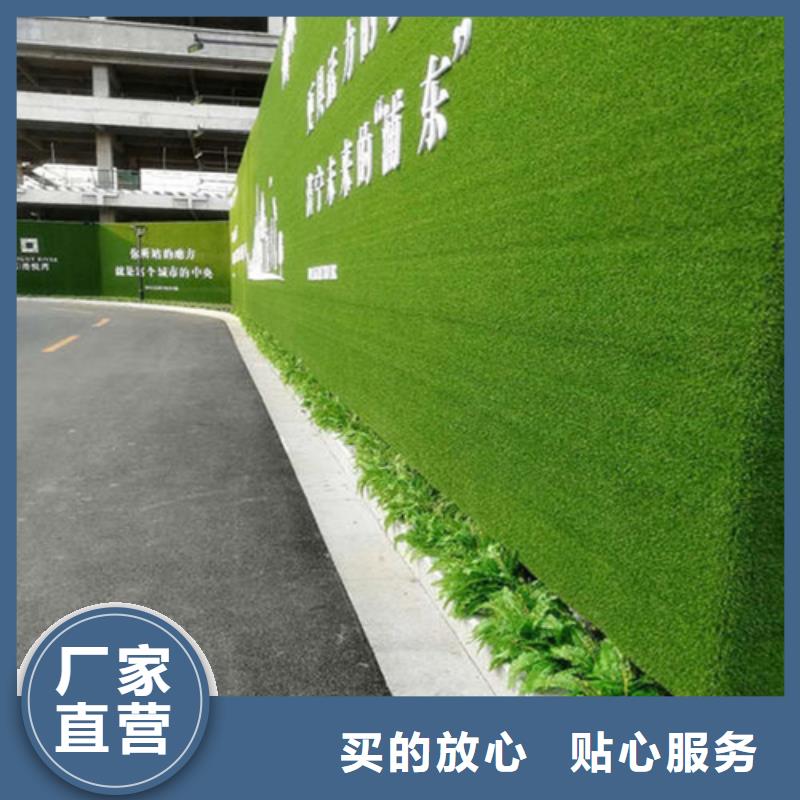草坪圍擋-圍擋草坪48小時發貨