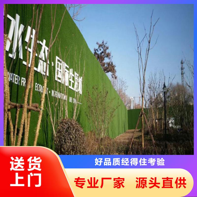 草坪圍擋人工草坪圍擋用心經(jīng)營
