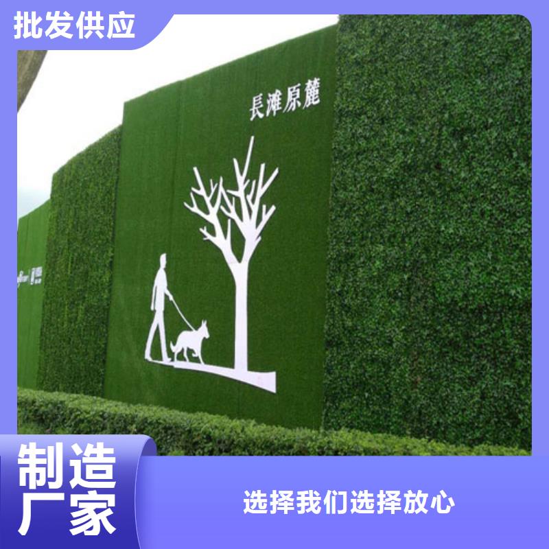 草坪圍擋圍擋草坪多年經(jīng)驗(yàn)值得信賴
