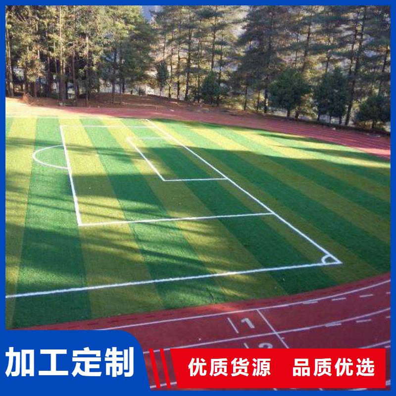 塑膠場地人工草皮足球場建設擁有多家成功案例