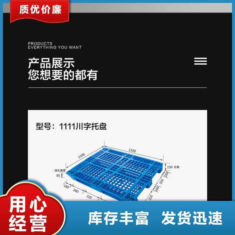 安徽订购【赛普】青椒保鲜库塑料托盘生产厂家
