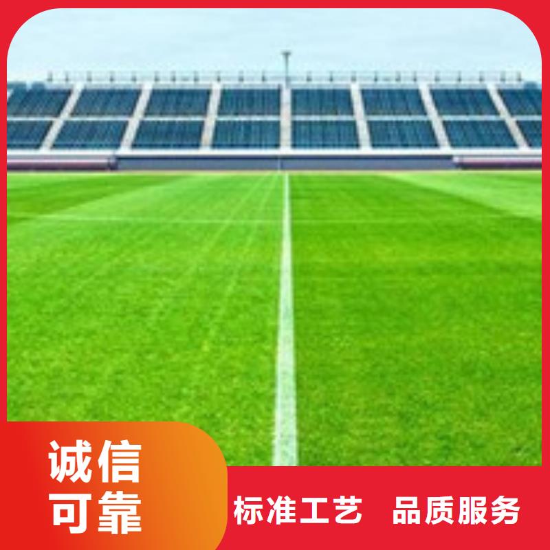 人造草坪橡膠地板廠家批發價