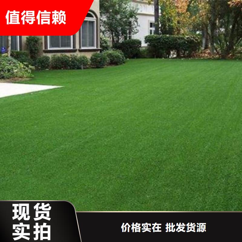 【人造草坪】_PVC塑膠地板多年經(jīng)驗(yàn)值得信賴