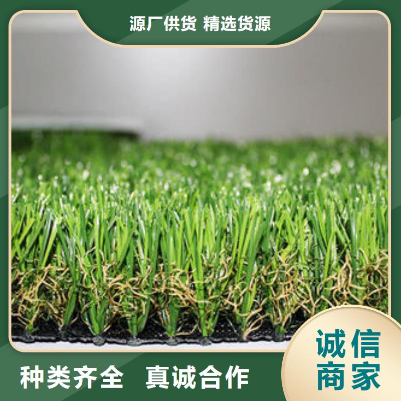【人造草坪】_PVC塑膠地板多年經(jīng)驗(yàn)值得信賴
