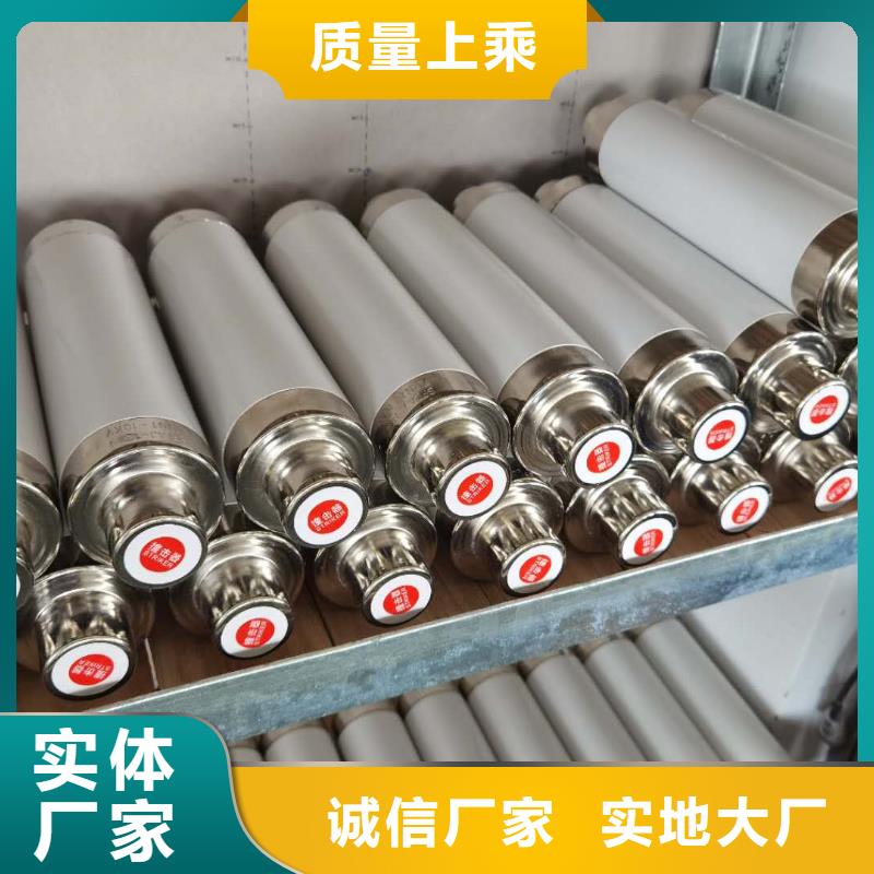 订购(宝熔)变压器保护用高压限流熔断器XRNT1-3.6KV/63A厂家直销
