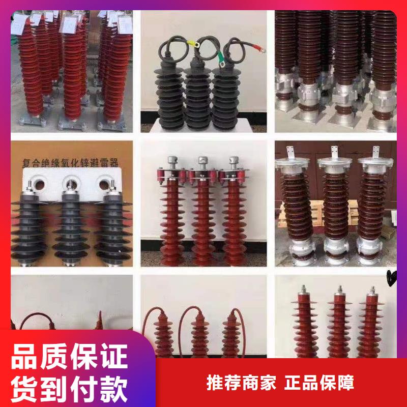 氧化鋅避雷器ZW32-12F/630A多年實(shí)力廠家