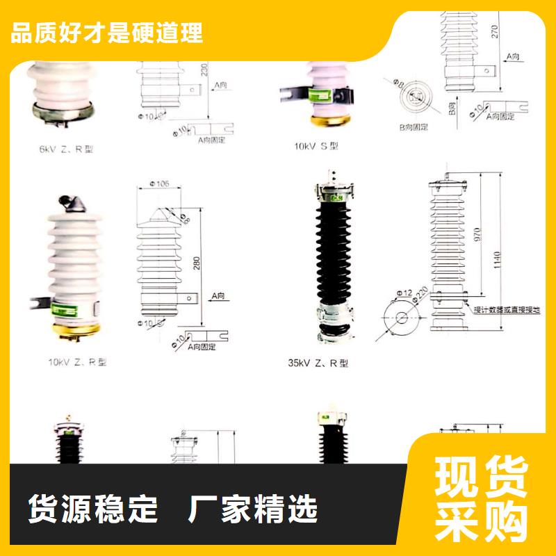 N年大品牌(宝熔)电机型氧化锌避雷器HY5WD-20/45生产厂家