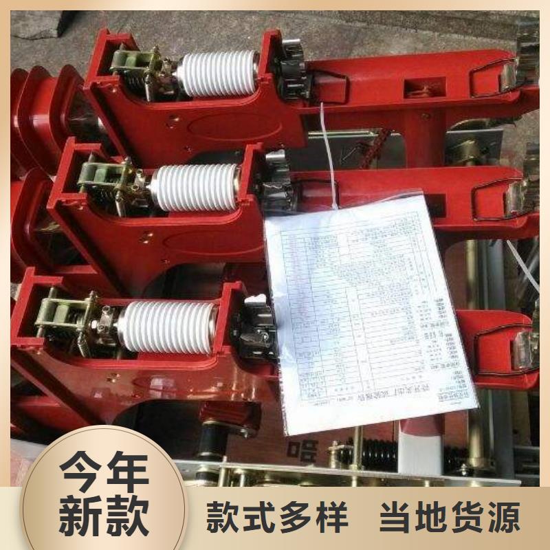 高壓負(fù)荷開關(guān)高壓接地開關(guān)實(shí)力雄厚品質(zhì)保障