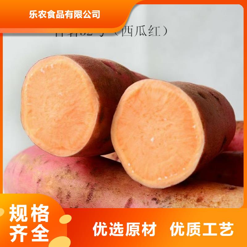 紫薯苗羽衣甘藍粉海量貨源
