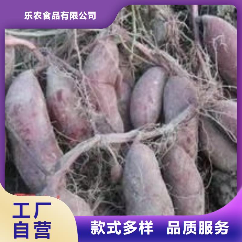 紫薯苗羽衣甘藍粉海量貨源