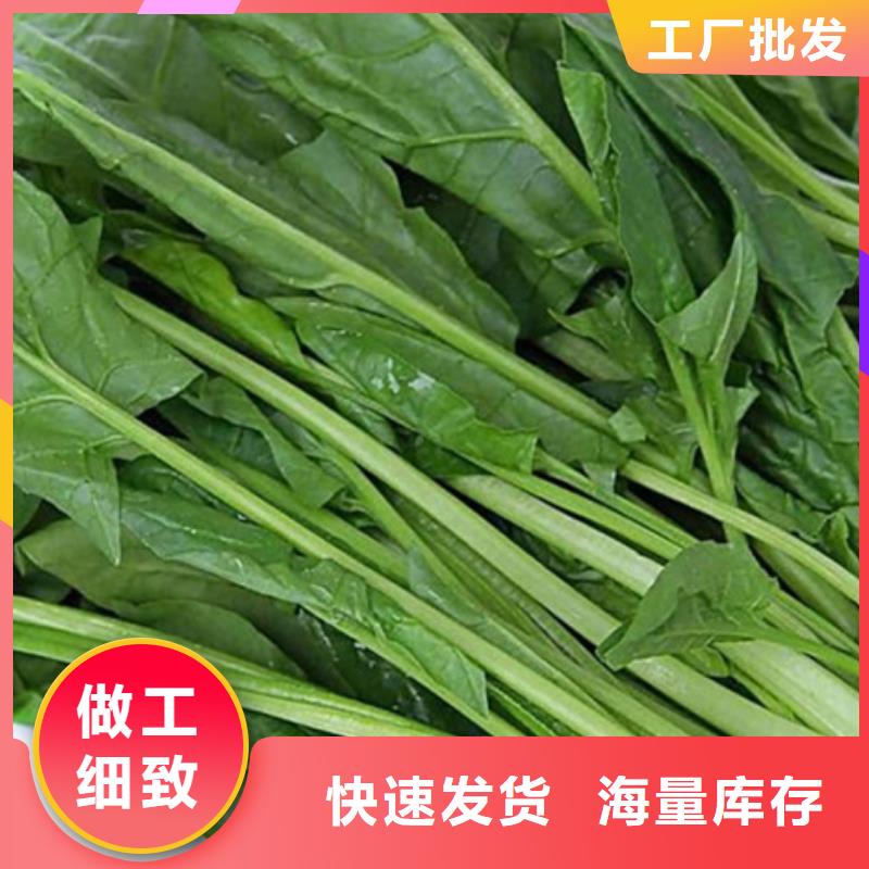 菠菜片團隊