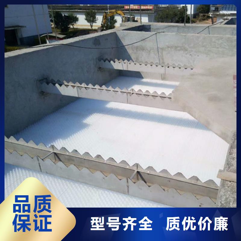 蜂窩斜管粘土生物陶粒濾料多年行業經驗