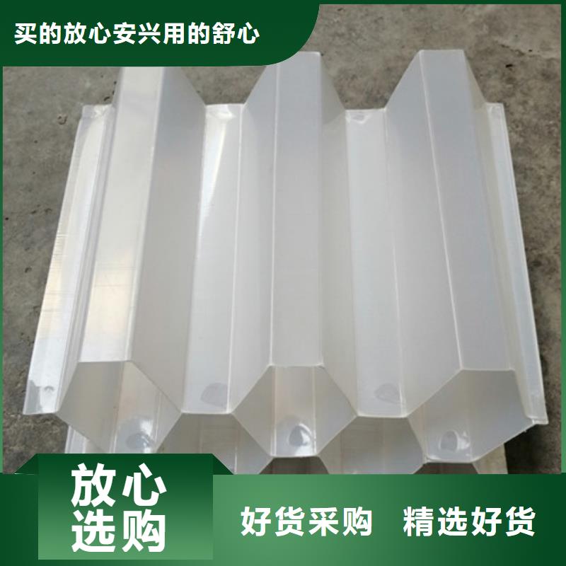 蜂窩斜管粘土生物陶粒濾料多年行業經驗