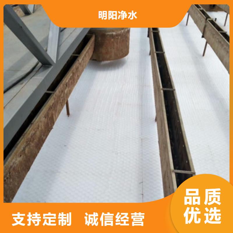 蜂窩斜管粘土生物陶粒濾料多年行業經驗