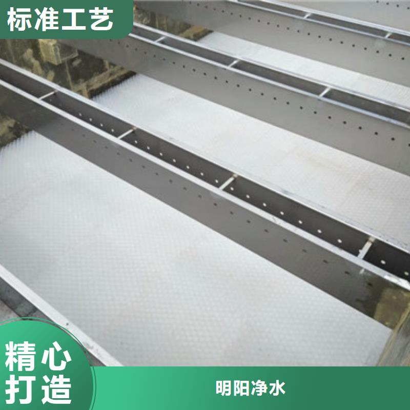 蜂窩斜管粘土生物陶粒濾料多年行業(yè)經(jīng)驗(yàn)