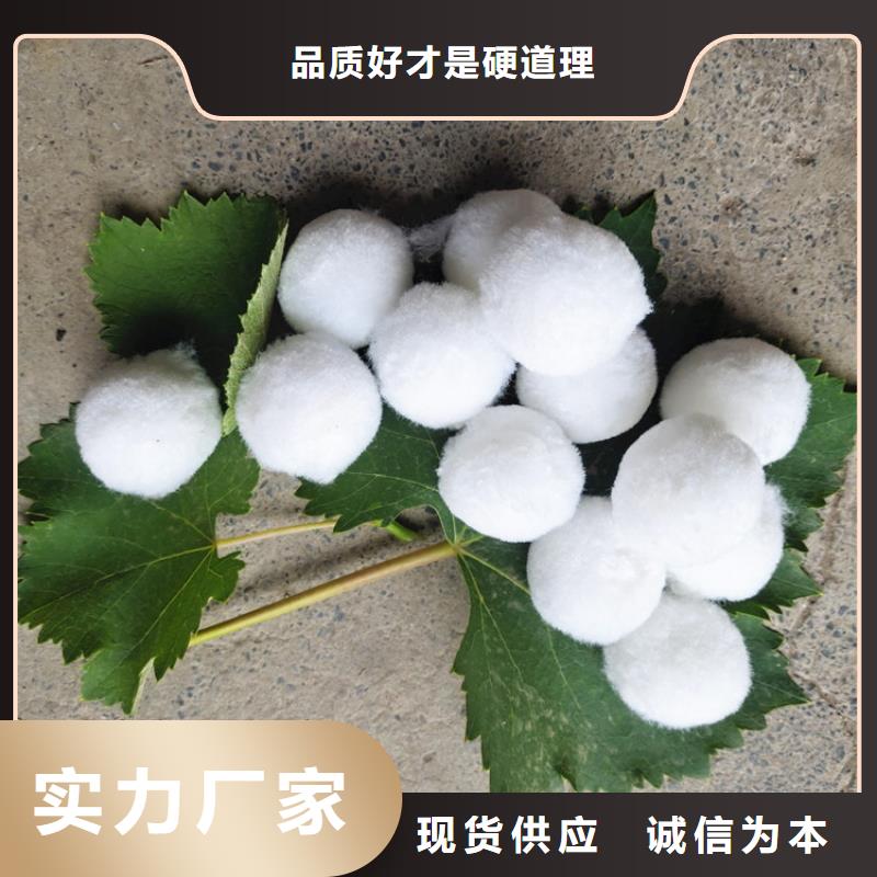 纖維球【椰殼粉末活性炭】價格實(shí)惠