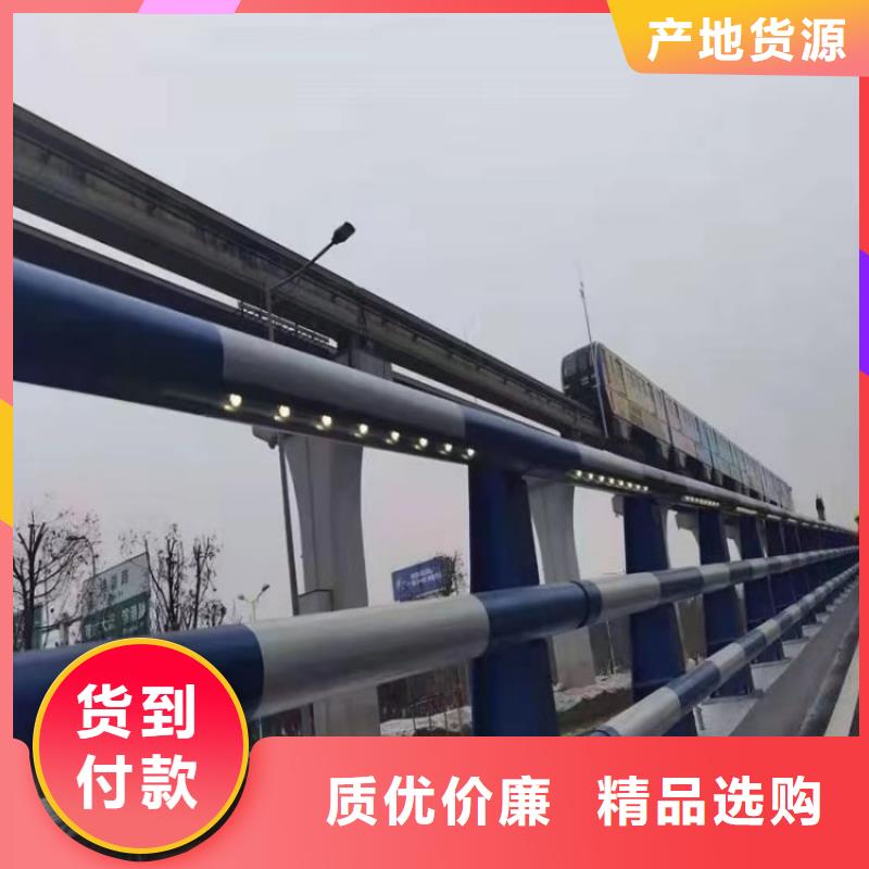 西藏工艺成熟<展鸿>椭圆管桥梁防撞栏杆强度高耐磨损