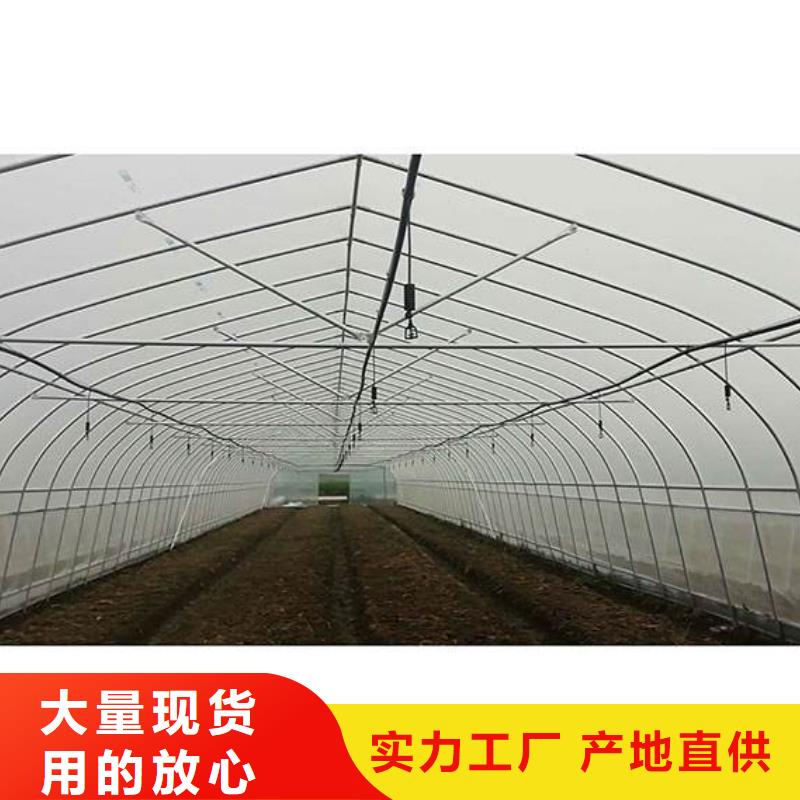 广东省适用场景泽沃源城肩高1.8米顶高2.5米大棚管价格批发零售2024