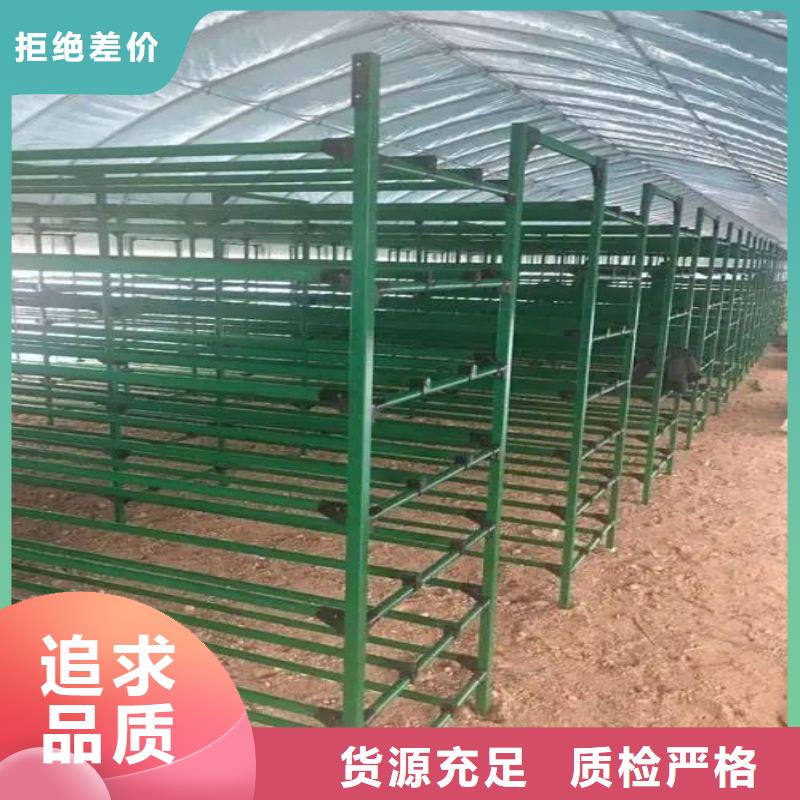大棚管2,橢圓管溫室大棚現貨銷售