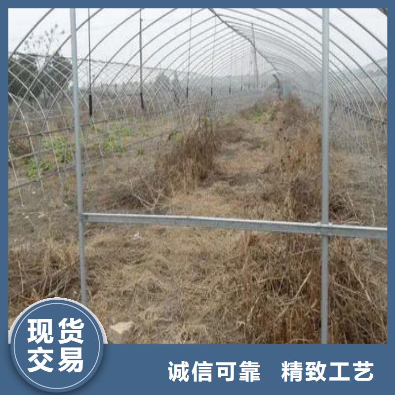 大棚管2連棟大棚管免費獲取報價