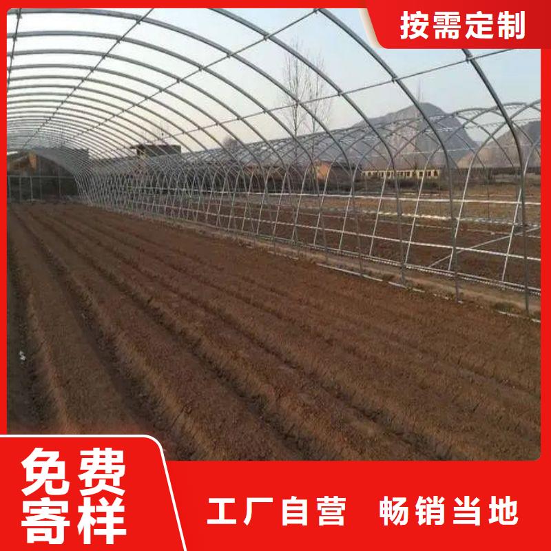 大棚管2農(nóng)業(yè)養(yǎng)殖大棚管價(jià)格透明