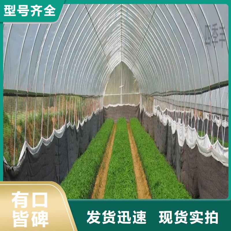 大棚管2連棟大棚管免費獲取報價