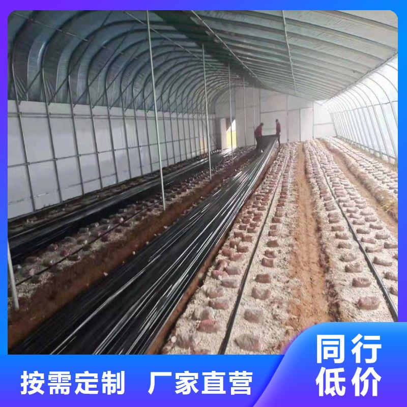 大棚管2溫室大棚管現貨實拍