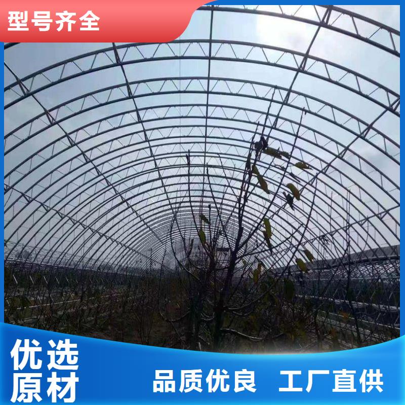 大棚管2溫室大棚管現貨實拍